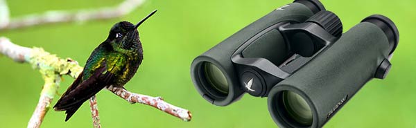 دوربین پرنده نگری - birdwatching binoculars